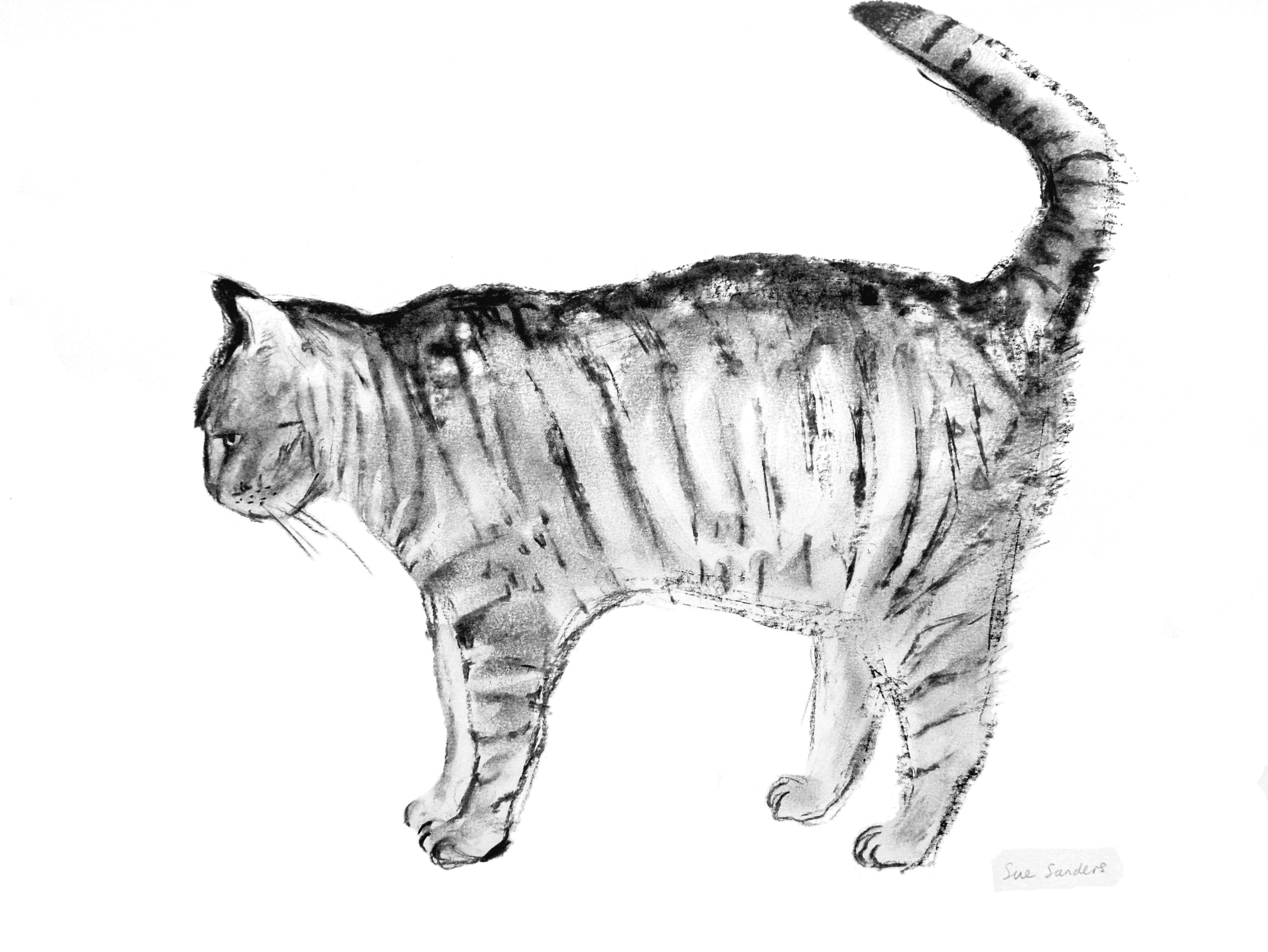 Benny - by Susan Sanders