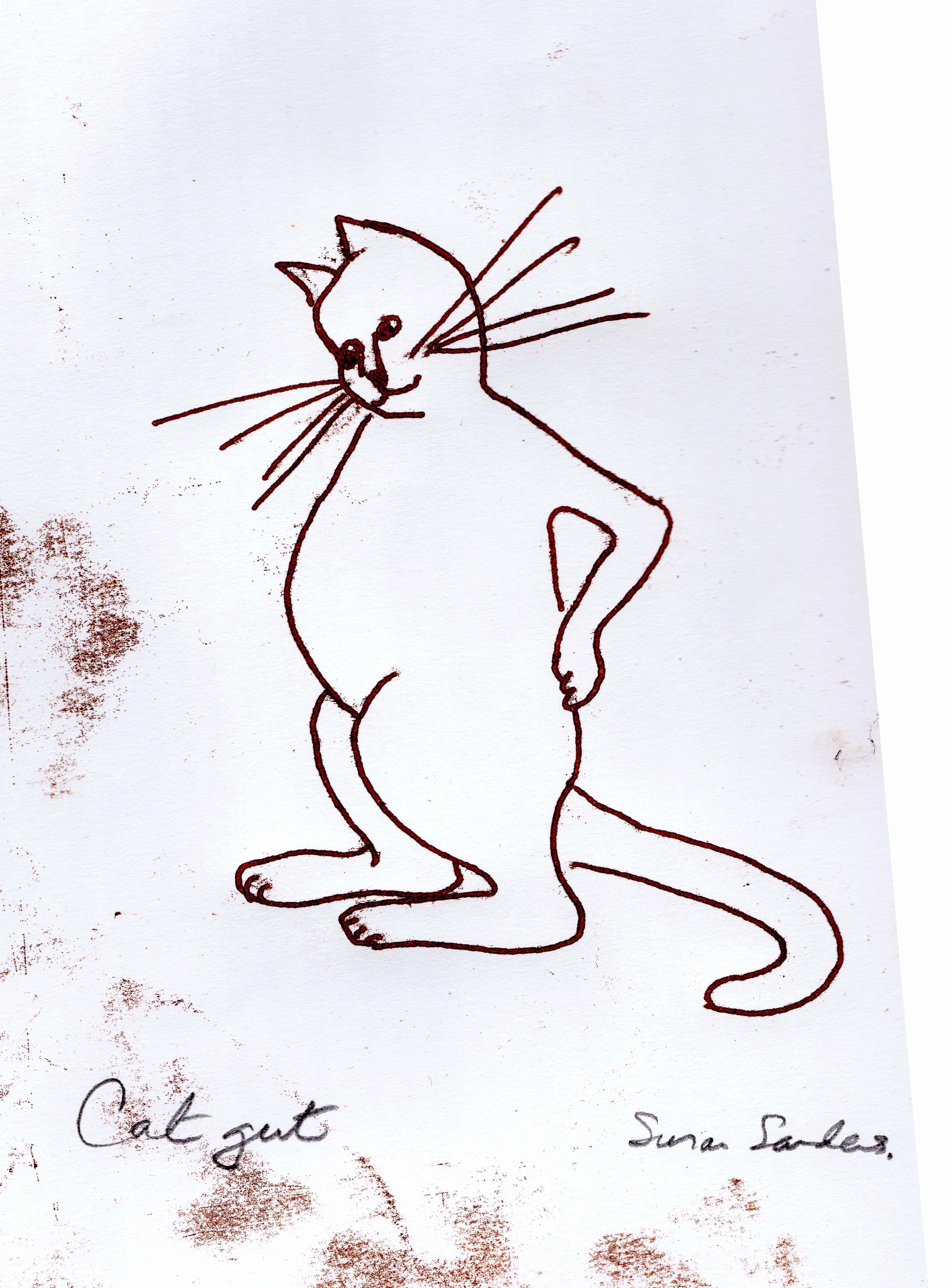 Catgut monoprint - by Susan Sanders