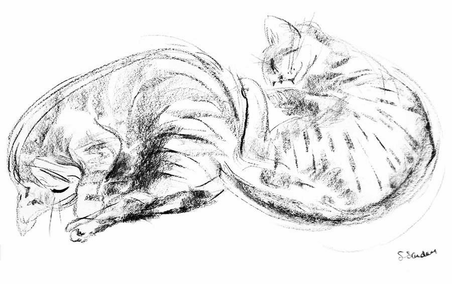 Sleeping kittens - by Susan Sanders
