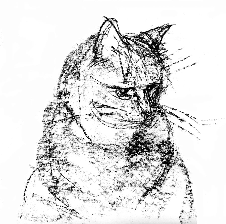 Tabitha - Charcoal - by Susan Sanders