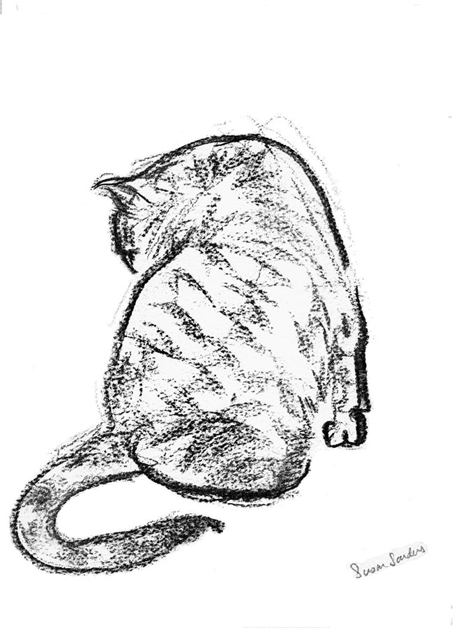 Washing cat - Charcoal - by Susan Sanders